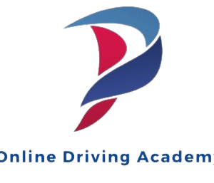 Limited Term License Class D 24-Hour or 18-20 Adult Version Combo
